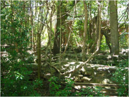 Magnolia Springs, AL