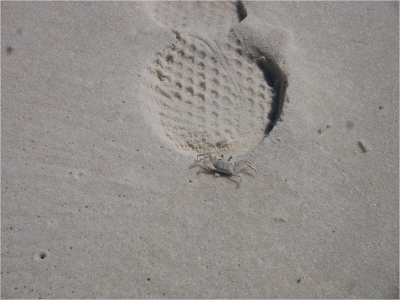 Pensacola Lighthouse - Pensacola, FL