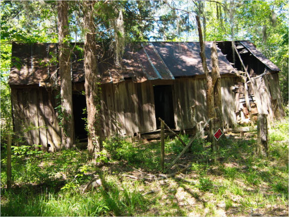 Old Cahawba Archaeological Park - Orrville, AL