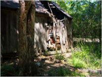 Old Cahawba Archaeological Park - Orrville, AL