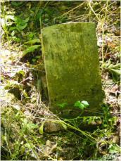 Negro Burial Ground - Cahawba, AL
