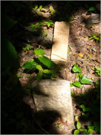 Negro Burial Ground - Cahawba, AL