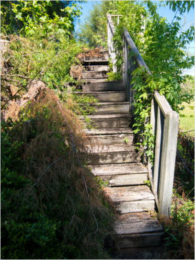 verwittertes Wohnhaus bei Orrville, AL