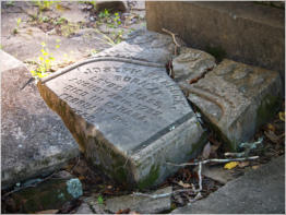 Old Cahawba Archaeological Park - Orrville, AL
