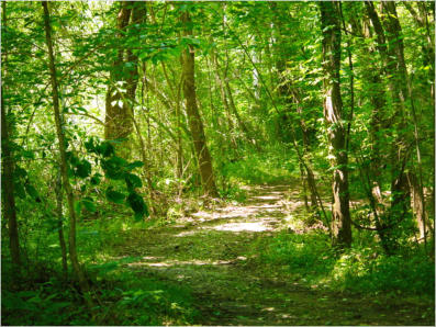 Kymulga Grist Mill, AL