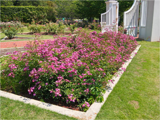 Botanischer Garten - Birmingham, AL