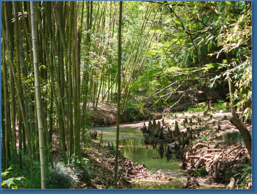Botanischer Garten - Birmingham, AL