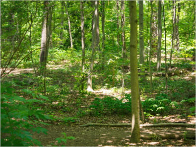 Botanischer Garten - Birmingham, AL