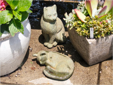 Blumengeschäft am Botanischen Garten - Birmingham, AL