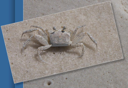 Pensacola Lighthouse - Pensacola, FL