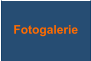 Fotogalerie