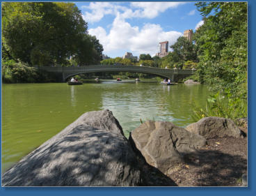 Bow Bridge - Central Park, NYC