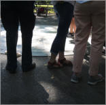 Strawberry Field - Central Park, NYC