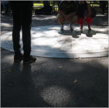 Strawberry Field - Central Park, NYC