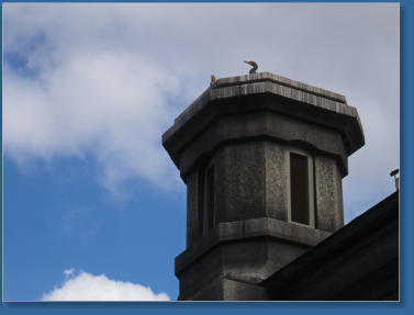 Jacqueline Kennedy Onassis Reservoir - Central Park NYC