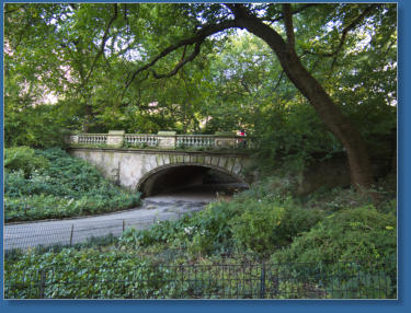 Central Park,  NYC