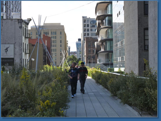 The High Line, NYC
