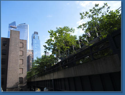 The High Line, NYC