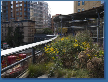The High Line, NYC