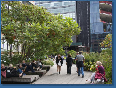High Line, NYC