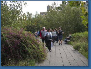 High Line, NYC
