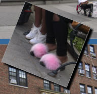 Washington Square Park, NYC