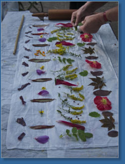 LaGuardia Corner Garden, NYC