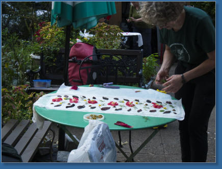 LaGuardia Corner Garden, NYC
