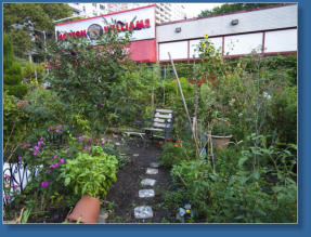LaGuardia Corner Garden, NYC