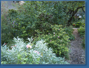 LaGuardia Corner Garden, NYC