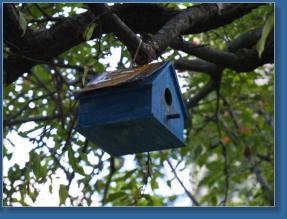 LaGuardia Corner Garden, NYC