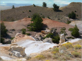 Castle Gardens Petroglyph Site - WY