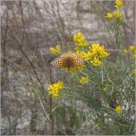 Toadstool Geologic Park, NE