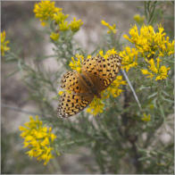 Toadstool Geologic Park, NE