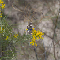 Toadstool Geologic Park, NE