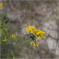 Toadstool Geologic Park, NE