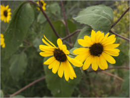 Toadstool Geologic Park, NE
