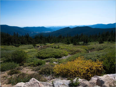 Mt. Goliath Natural Area, CO