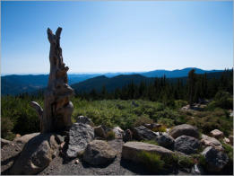 Mt. Goliath Natural Area, CO