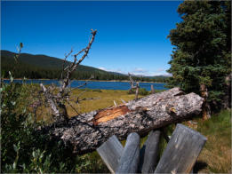 Echo Lake, CO