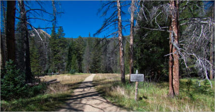 Lulu Town Site Trail - Rocky Mountain NP, CO