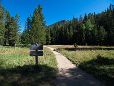 Lulu Town Site Trail - Rocky Mountain NP, CO