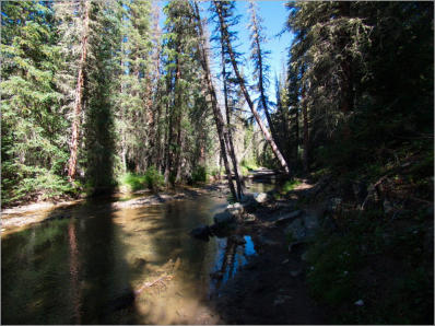 Lulu Town Site Trail - Rocky Mountain NP, CO