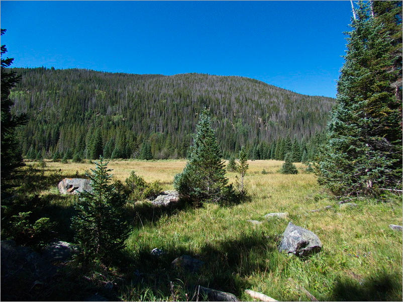 Lulu Town Site Trail - Rocky Mountain NP, CO