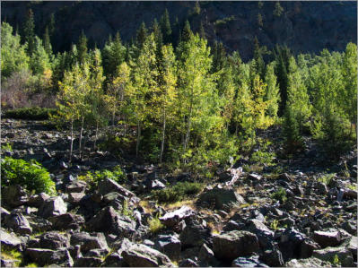 Lulu Town Site Trail - Rocky Mountain NP, CO