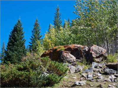 Lulu Town Site Trail - Rocky Mountain NP, CO