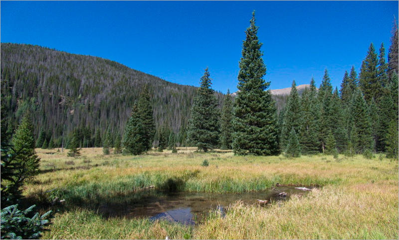 Lulu Town Site Trail - Rocky Mountain NP, CO