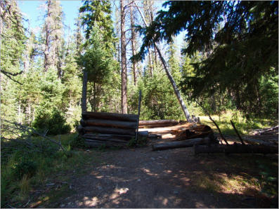 Lulu Town Site Trail - Rocky Mountain NP, CO