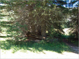 Lulu Town Site Trail - Rocky Mountain NP, CO