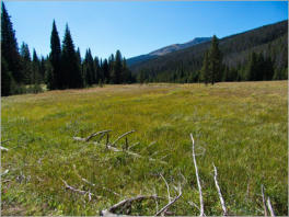 Lulu Town Site Trail - Rocky Mountain NP, CO